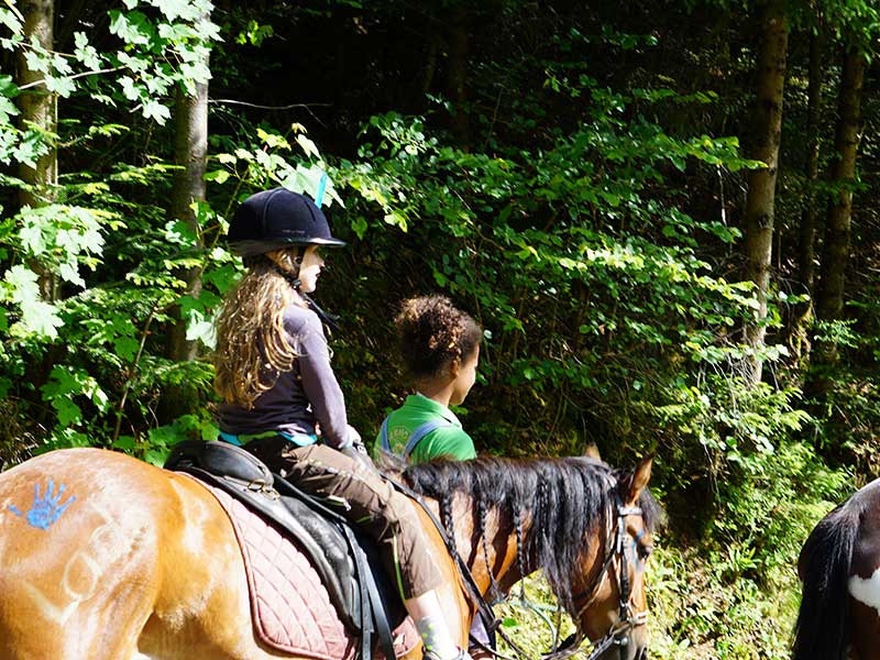 Indianer Austritt Hilserhof Triberg Schwarzwald