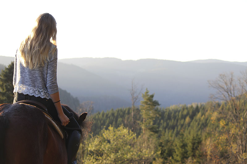 Reiten im Schwarzwald